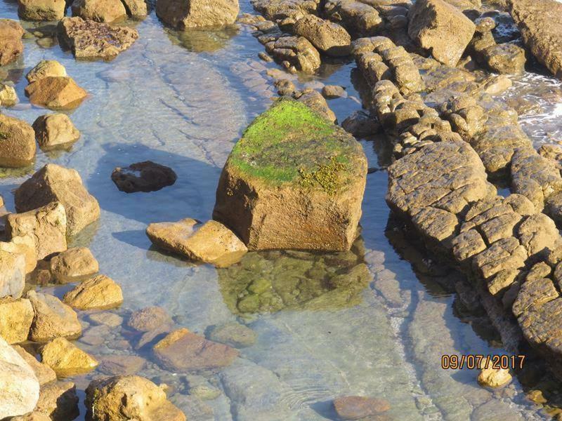 Estrela Do Mar - 100M Da Praia ペニシェ エクステリア 写真